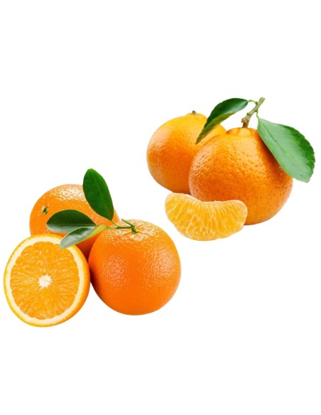 Caisse mixte Oranges & Mandarines