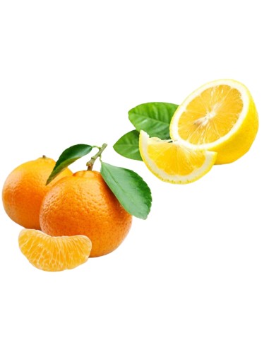 Caisse mixte Mandarines & Citrons